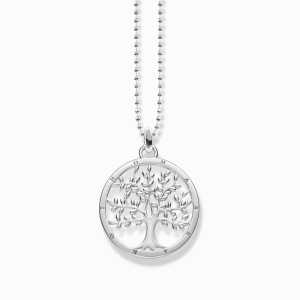 Thomas Sabo Halsband 925 Sterling silve KE1660-001-21-L45v, handla denna klocka online eller i butik hos klockmaster